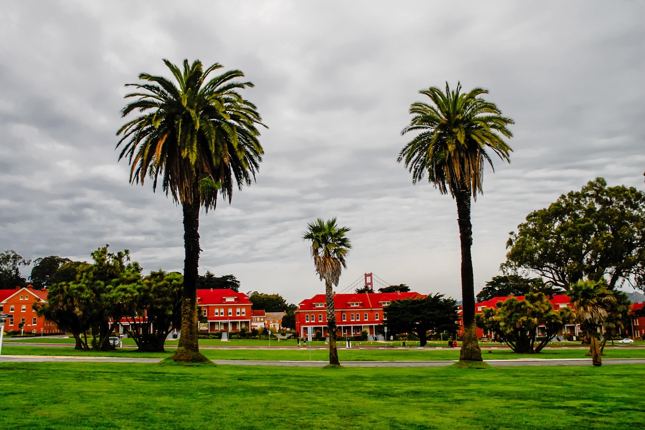 California sunset representing the state's unique legal landscape